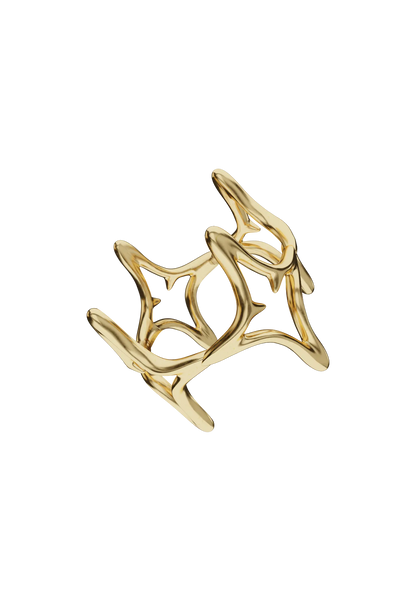 RIFLESSI RING