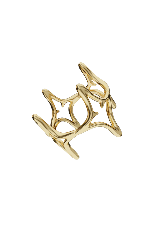 RIFLESSI RING
