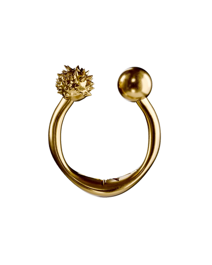 PIERCE RING