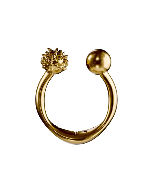 PIERCE RING